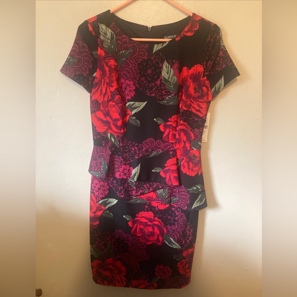 NWT glamour knee length floral dress size 6